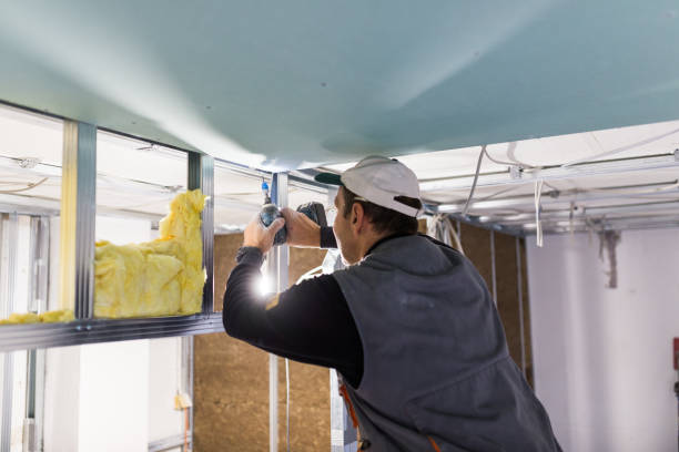 Best Insulation Replacement  in Echelon, NJ