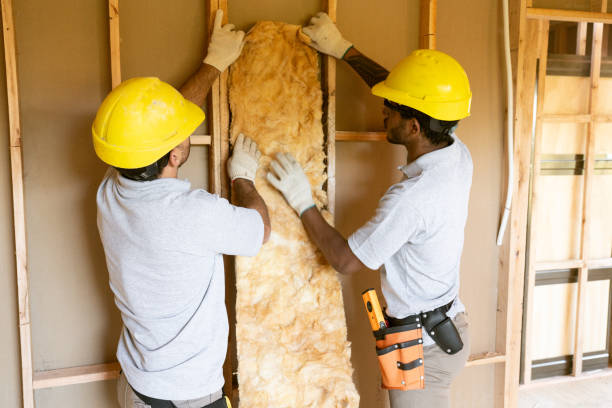 Eco-Friendly or Green Insulation Solutions in Echelon, NJ