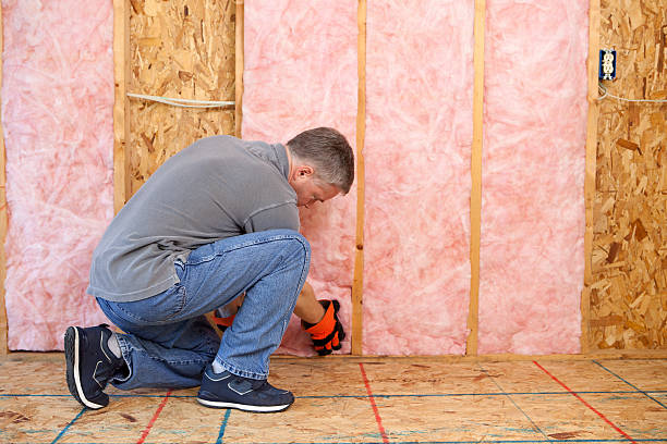 Best Insulation Air Sealing  in Echelon, NJ