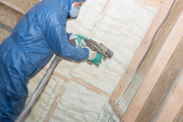 Best Basement Insulation  in Echelon, NJ